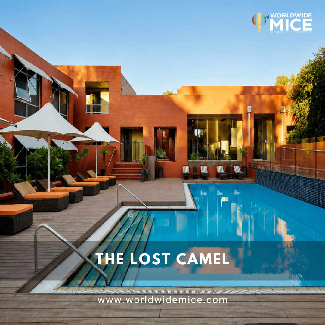 The Lost Camel